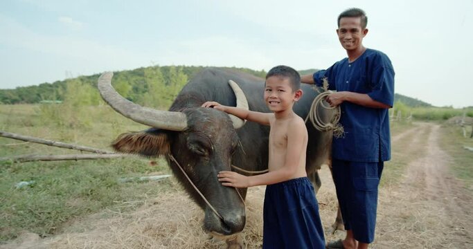 A father in traditional clothes and a son are smiling happily. They are Asian farmer family feeding and caring for buffaloes on the foothills of the countryside.