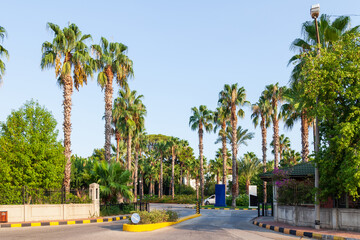 Fototapeta premium City asphalt road with palm trees along the road in Kemer, Turkey