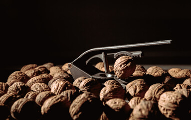 Walnut in nutcracker close-up. Copy space. Beautiful dark background with healthy food ingredient....