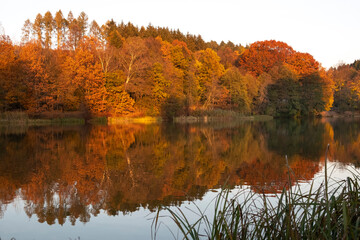 Herbstlandschaft am Stausee 