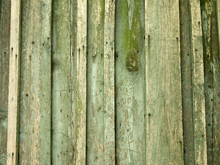 Fototapeta premium Part of a green wooden fence with vertical panels. Rough uneven surface.