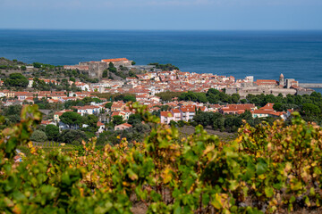 The amazing aerial view over Collioure from Fort Saint Elme surrounded by vineyards, Vermeille...
