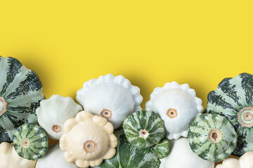 Fresh color pattypan squash pumpkins or patissons on yellow background with copy space. Heathy organic food. Horizontal shot. Top view.