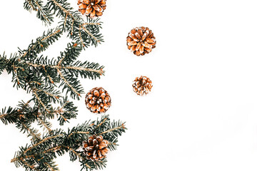 Christmas background. Spruce branches and cones on the background. New Year