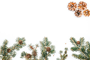 Christmas background. Spruce branches and cones on the background. New Year
