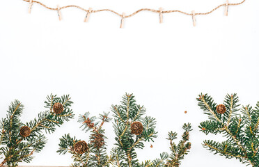 Christmas background. Spruce branches and cones on the background. New Year