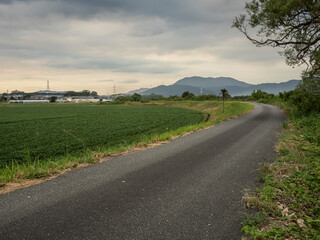 農村の風景