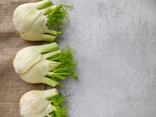 Top view of three raw fresh fennel on gray concrete and burlap. Abstract natural background with copy space.