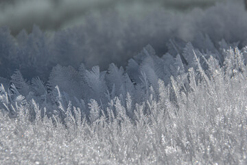 feather shaped ice crystals - Frisco - Colorado - USA