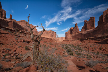 red rocks in arches national park