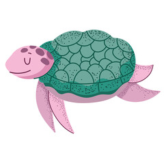 cute cartoon turtle