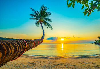Coconut palms on sand beach in tropic on sunset. Thailand