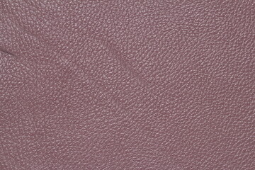 Fototapeta premium texture of natural aniline leather