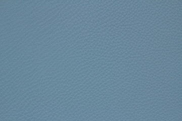 texture of natural aniline leather