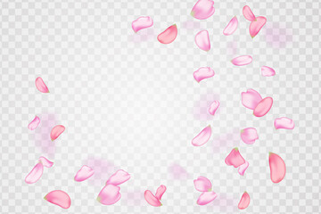 Pink falling sakura petals.Nature horizontal background.