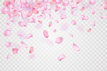 Pink falling sakura petals.Nature horizontal background.