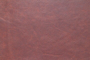 Fototapeta premium skin texture