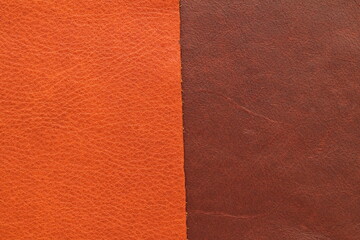 samples of genuine leather in different colors