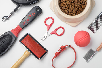 Accessories for dogs: food bowl, hairbrush, ball, nail clippers, collar. Pet care concept. White background, top view.