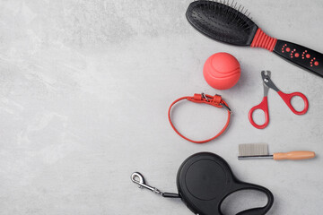 Accessories for dogs: food bowl, hairbrush, ball, nail clippers, collar. Pet care concept. Gray background, top view.
