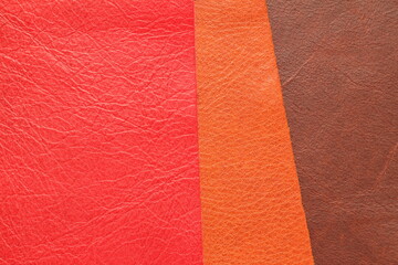 samples of genuine leather in different colors