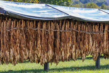 Agriculture Grounds in Northeastern Tennessee.