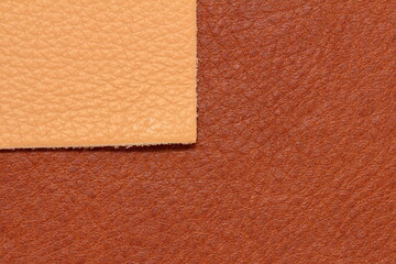 Fototapeta premium samples of genuine leather in different colors