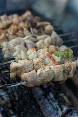 Soft focused shot of marinaded pork meat pieces on skewers frying over bonfire. Kebab or traditional shashlik cooking with lot of smoke. Vertical shot