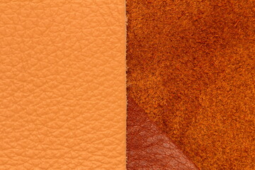 Fototapeta premium samples of genuine leather in different colors