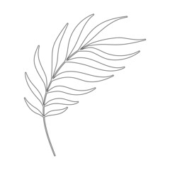 tropical palm leaf isolated black contour element