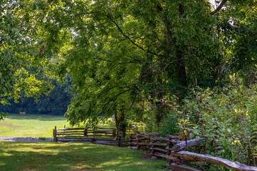 Landscape view of split rail fence boarding a grassy field