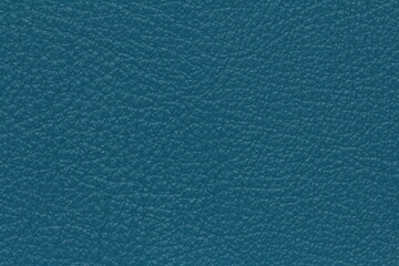 texture of natural aniline leather