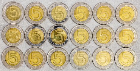 Five-zloty coins from Poland, evenly arranged, in rows, background,