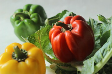 Red yellow and green bell peppers. Bell pepper or Capsicum annuum, also called sweet pepper or capsicum