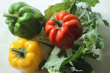 Red yellow and green bell peppers. Bell pepper or Capsicum annuum, also called sweet pepper or capsicum
