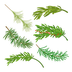 Naklejka na ściany i meble Coniferous fir trees evergreen branches vector set. Isolated on white background. Flat vector element for winter holiday decoration design.