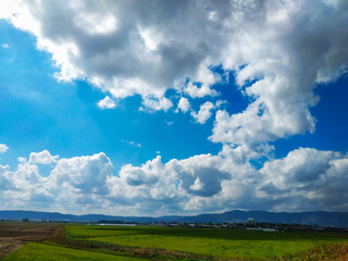 field and blue sky izrael valley, israel