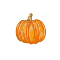 Pumpkin isolated on a white background