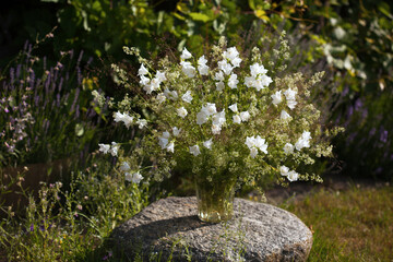 A bouquet of white flowers bells, bedstraw, wild herbs in a glass vase in the garden on a stone. Summer background with flowers, leaves and grass.