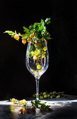 gooseberries with leaves in a wine glass 