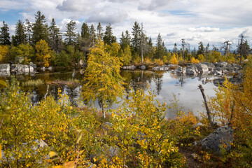 Swamp or lake with megalithic seid boulder stones, the dead trees in nature reserve on mountain...