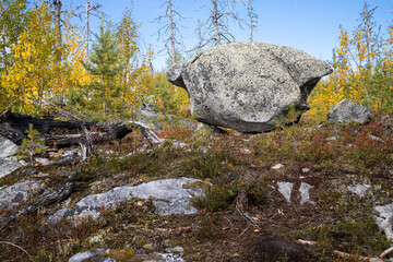 Fototapeta premium Megalithic seid boulder stones, dead trees in nature reserve on mountain Vottovaara, Karelia, Russia. Autumn in mountain