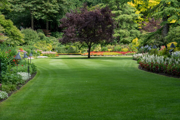 scenery of large lawn, trees, and bushes outdoors during the summer of a large park