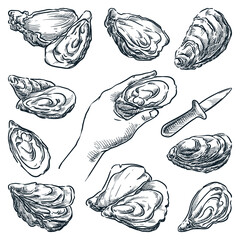 Oysters collection. Oyster knife and human hand holding open mussel. Hand drawn vector sketch illustration - obrazy, fototapety, plakaty