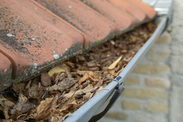 Gutter full of old autumn leaves and dirt. 