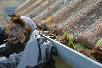 Cleaning the gutter from autumn leaves before winter season. Roof gutter cleaning process.