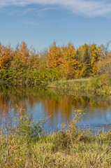 Fototapeta na wymiar Autumn at Pylypow Wetlands in Edmonton, AB