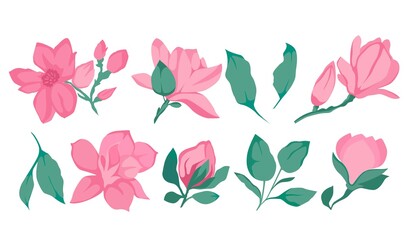 Magnolia set isolated on white. Beautiful gentle. Spring Flower. Trendy Design Template. Vector illustration. Springtime.