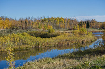 Autumn at Pylypow Wetlands in Edmonton, AB
