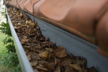 Gutter full of old autumn leaves and dirt. 